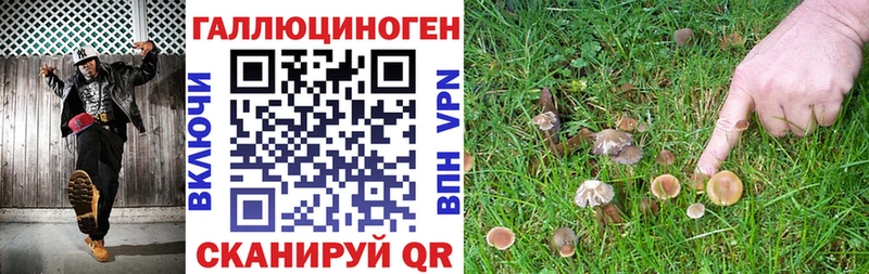даркнет сайт Калининск нарко площадка телеграм Галлюциногенные грибы Psilocybine cubensis